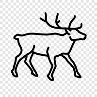 deer, antler, Alaska, Christmas icon svg