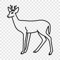 deer, antlers, caribou, alaskan icon svg