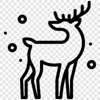 deer, hunting, animal, animal pictures icon svg