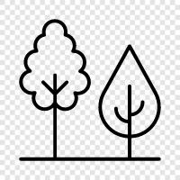 deforestation, forest, greenery, wood icon svg