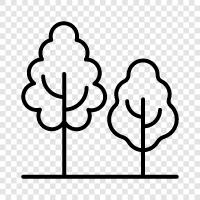 deforestation, forest, leaves, branches icon svg