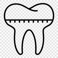 dental braces, orthodontic braces, braces icon svg