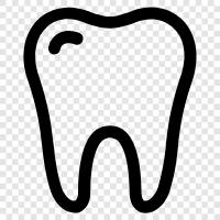 dental care, dental office, dental technician, dental surgery icon svg