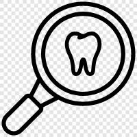 dental care, dental exam, dental cleaning, dental xray icon svg