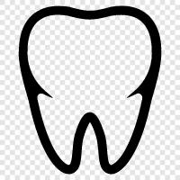 dental care, dental clinics, dental implants, dental procedures icon svg