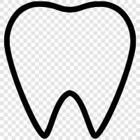 dental care, dental office, dental hygienist, dental insurance icon svg