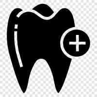 dental care providers, dental care products, dental care services, dental care prices icon svg