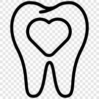 dental care providers, dental procedures, dental care products, dental insurance icon svg