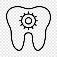 dental care services, dental care products, dental insurance, dental care tips icon svg