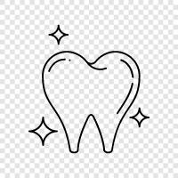 dental insurance, dental care plans, dental implants, dental care providers icon svg