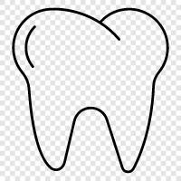 dental, dental care, dental insurance, dental implants icon svg