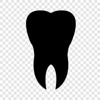 dental, oral, dental care, teeth icon svg