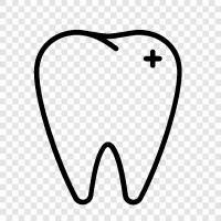 dental, oral, dental care, dental implants icon svg