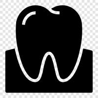 dental, braces, extraction, fillings icon svg