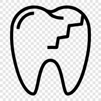 dental, orthodontics, dental care, orthodontist icon svg