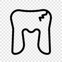 dental, dental care, teeth, braces icon svg