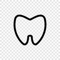 dental, oral, dental care, dental student icon svg