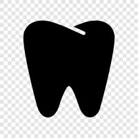 dental, dental care, dental floss, dental implants icon svg