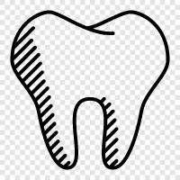 dental, dentistry, oral, oral health icon svg