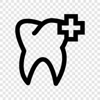 dental services, dental care for children, dental care for seniors, dental hy icon svg