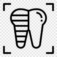 dental xray, dental xray, xray of tooth, Tooth XRay icon svg