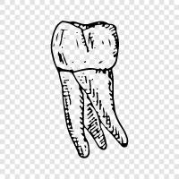 Dentist, Dentist Near Me, Toothache, Tooth extraction icon svg