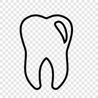 Dentist, Teeth, Decay, Gums icon svg