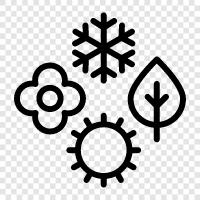 Determinants of Seasonality, Agricultural Production, Agricultural Prices, Seasonality icon svg