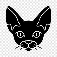 Devon Rex, Devonshire Rex, devon rex breed icon svg