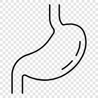 digestion, stomach problems, stomach ulcers, stomach cancer icon svg