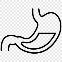 digestion, food, stomachache, GERD icon svg