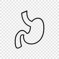 digestion, stomach problems, stomachache, ulcers icon svg