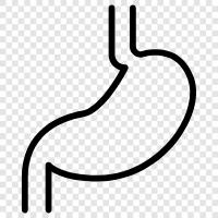 digestion, stomach problems, stomach ache, stomach pain icon svg