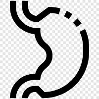 digestion, stomach problems, food poisoning, upset stomach icon svg