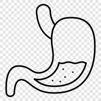 digestion, gastritis, ulcers, leaky gut icon svg