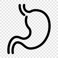 digestion, stomach pain, ulcers, GERD icon svg