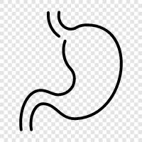 Digestion, Gas, Bloat, Diarrhea icon svg