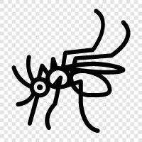 disease, disease control, vector, pest icon svg