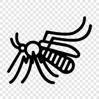 disease, vector, pest, nuisance icon svg