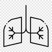 disease, COPD, asthma, emphysema icon svg