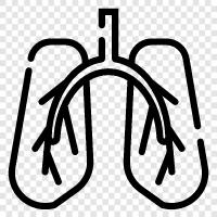 diseases, cancer, smoking, COPD icon svg