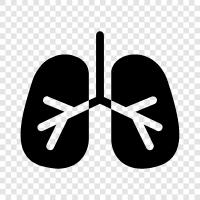 diseases, COPD, asthma, bronchitis icon svg