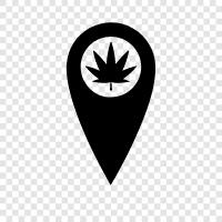 dispensaries, marijuana dispensary, pot dispensary, dispensary icon svg