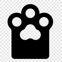 dog, animal, pet, breed icon svg