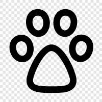 dog, animal, furry, pet icon svg