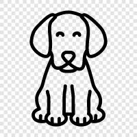 dog breed, dog food, dog breeders, dog training icon svg