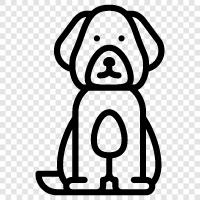 dog breed, dog breeders, dog care, dog training icon svg