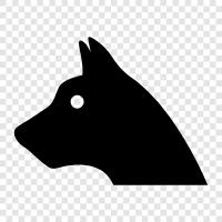 dog breeds, dog breeds for sale, dog breeds for adoption, Dog icon svg