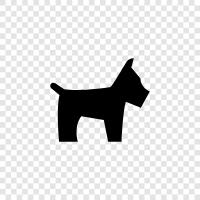dog breeds, dog training, dog food, dog houses icon svg