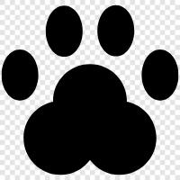 dog, animal, pet, toy icon svg